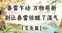 【二十四節(jié)氣灸】春雷驚醒濕氣！驚蟄艾灸3穴，疏肝祛濕養(yǎng)元氣！